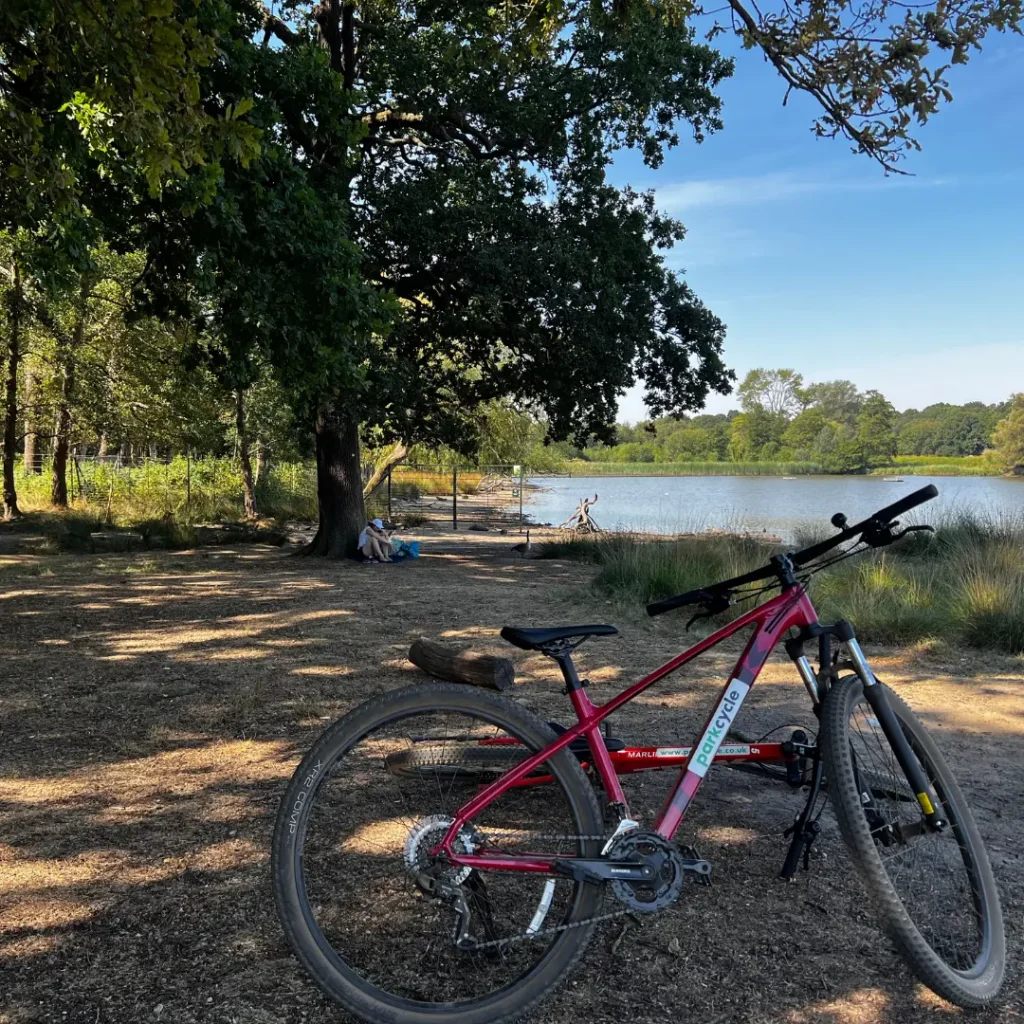 bicycle parked next to a lake