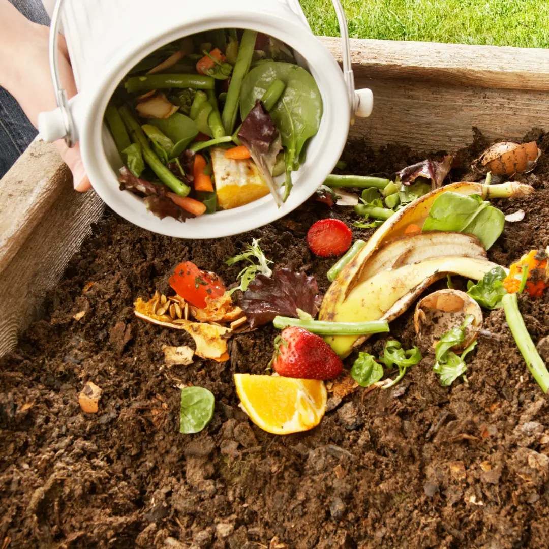 What is Sustainable Living? - home composting