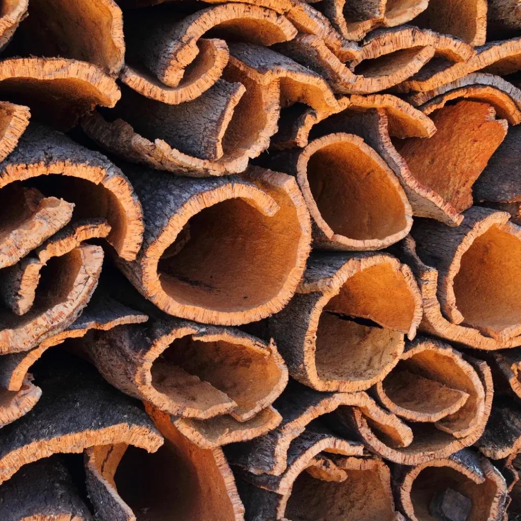 what is cork - cork bark peeled