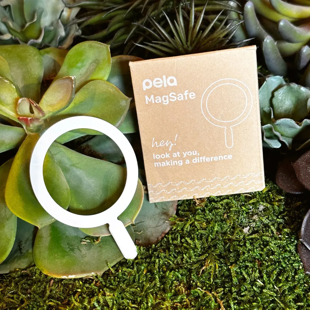 Pela MagSafe accessory with its cardboard packaging