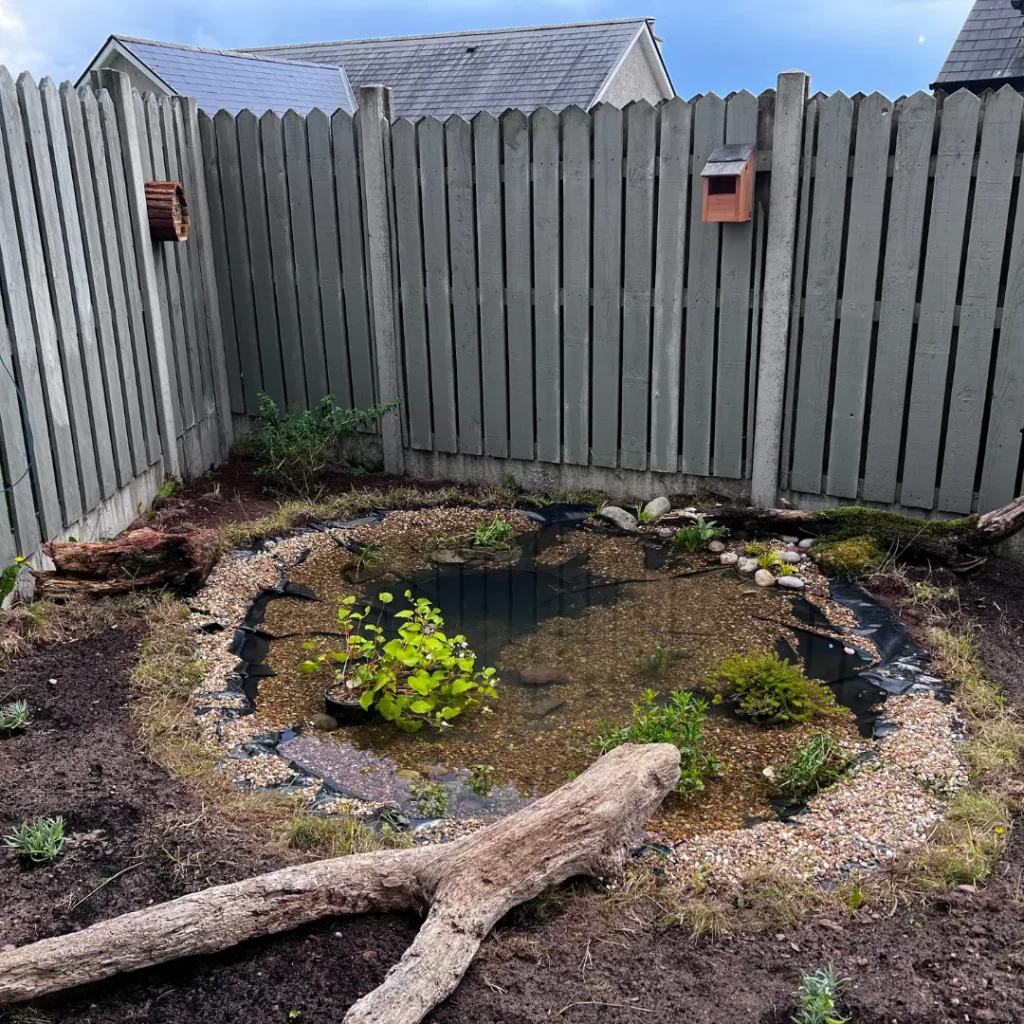 Showing how our small natural pond helps to promote biodiversity