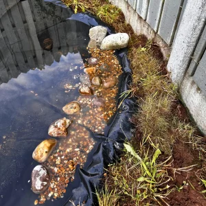 Our shallow plant pond area for wildlife access