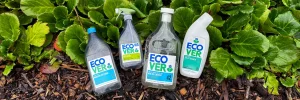 Four Ecover eco friendly home cleaning products displayed on soil with lush green leaves in the background.