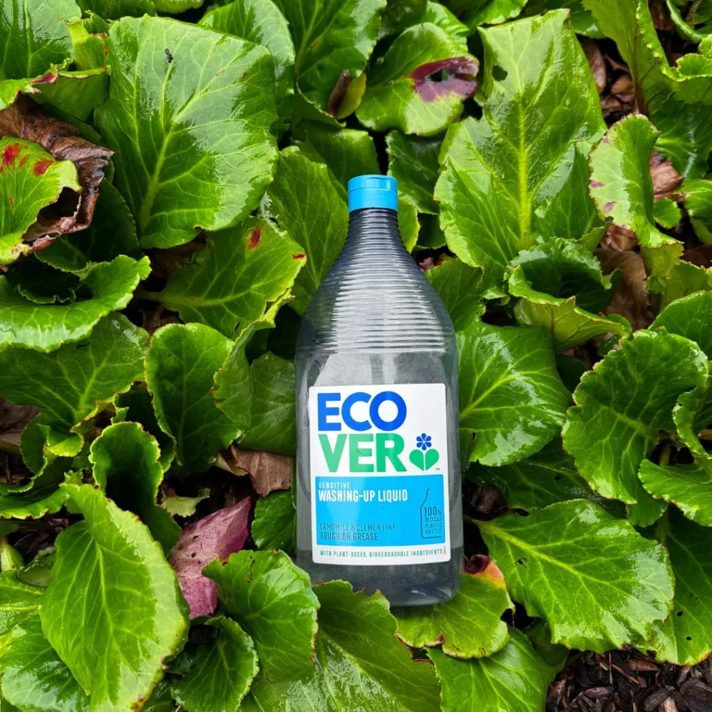 Ecover Sensitive Washing-Up Liquid in Nature A bottle of Ecover Sensitive Washing-Up Liquid placed on vibrant green leaves in a natural outdoor setting.