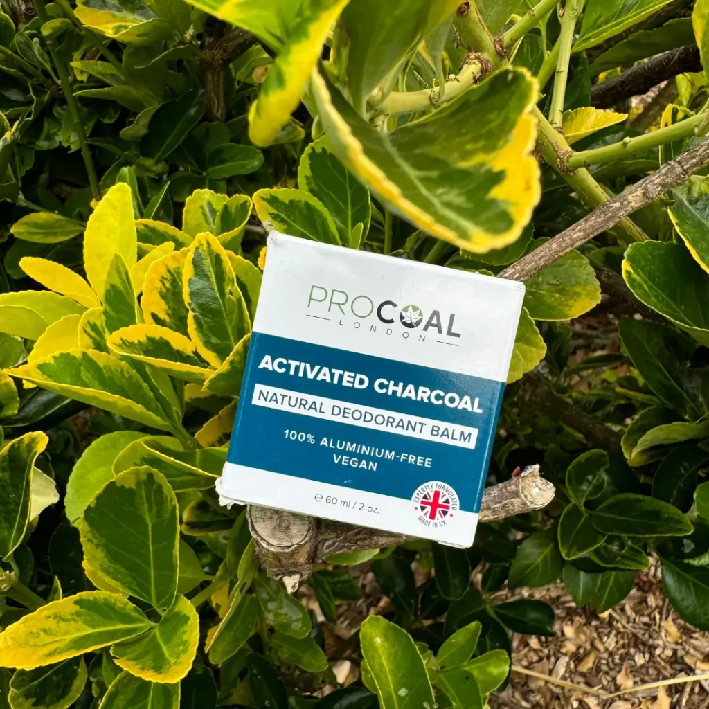 Procoal Activated Charcoal Natural Deodorant Balm packaging placed among green leaves.