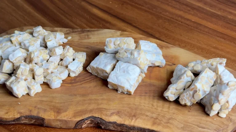 Homemade tempeh